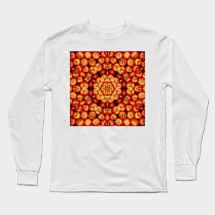 Vegetarian Kaleidoscope, Fruit Fantasy Patterns. One Tomato Long Sleeve T-Shirt